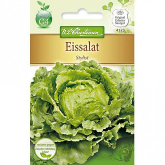 Eissalat Stylist interface.image 1