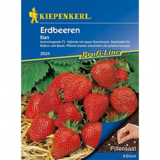 Erdbeeren Elan interface.image 1