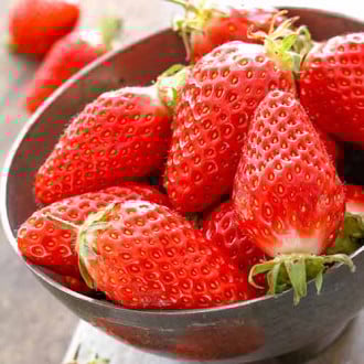 Erdbeeren Gariguette interface.image 2