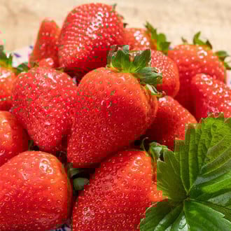 Erdbeeren Lola interface.image 6