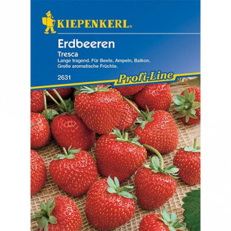 Erdbeeren Toscana interface.image 3