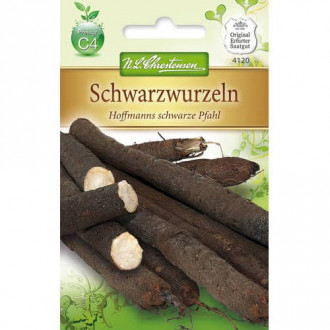 Schwarzwurzel Hoffmanns schwarze Pfahl interface.image 1