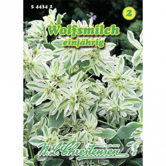 Euphorbia Wolfsmilch interface.image 1