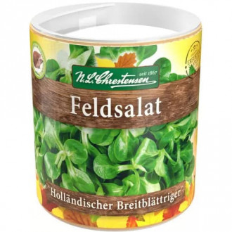 Feldsalat Holländisch Breitblättrig interface.image 6