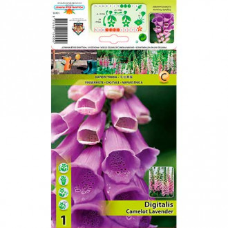 Fingerhut Camellot Lavender interface.image 3