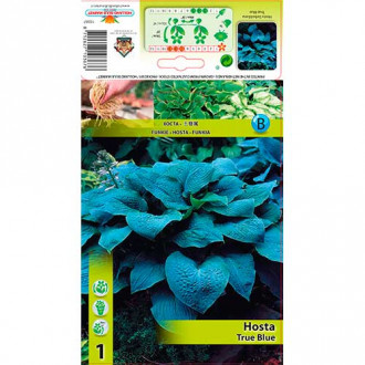 Funkie True Blue interface.image 2