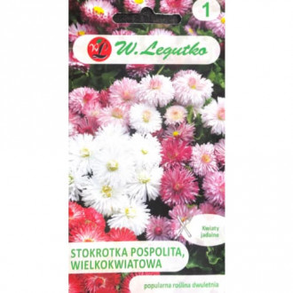 Gänseblümchen mischung Legutko interface.image 9