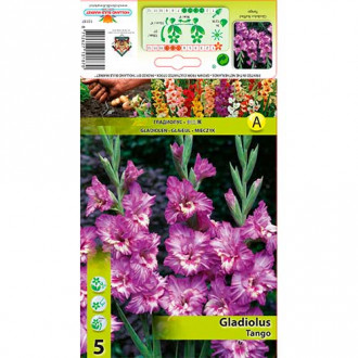 Gladiole Ruffled Tango interface.image 6