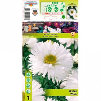 Glattblatt Aster White interface.image 3