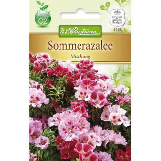 Sommerazalee Mischung interface.image 4