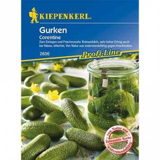 Gurke Corentine interface.image 3