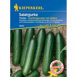 Gurke Midele Kiepenkerl interface.image 1