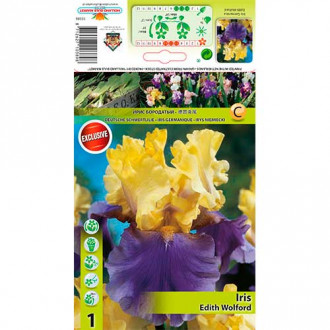 Hohe Schwertlilie Edith Wolford Bild 16 Hohe Schwertlilie Edith Wolford interface.image 16
