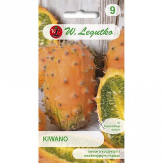 Horngurke Kiwano Bild 9 Horngurke Kiwano interface.image 9