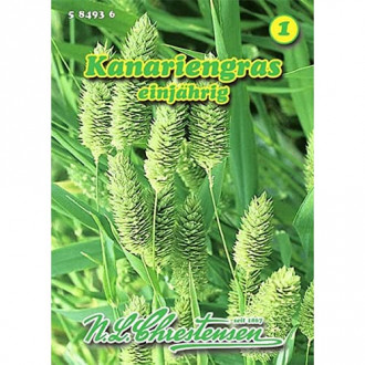 Kanariengras interface.image 3