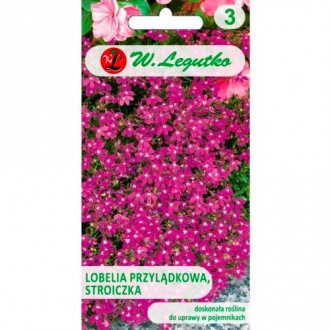 Kap-Lobelie (Stroichka) karminrot Legutko Bild 15 Kap-Lobelie (Stroichka) karminrot Legutko interface.image 15