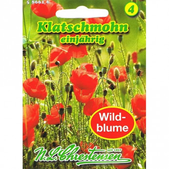 Klatschmohn Papaver Rhoeas interface.image 1