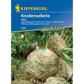 Knollensellerie Mars Bild 7 Knollensellerie Mars interface.image 7