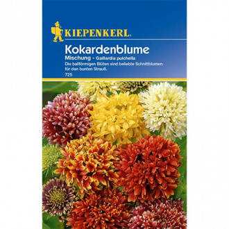 Kokardenblume Mischung interface.image 1