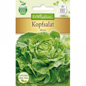 Kopfsalat Mona Bild 12 Kopfsalat Mona interface.image 12