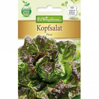 Kopfsalat Pirat interface.image 5