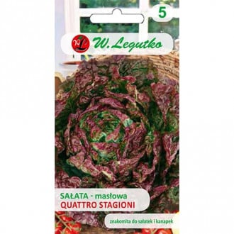 Kopfsalat Quattro stagioni interface.image 1