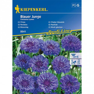 Kornblume Blauer Junge interface.image 2