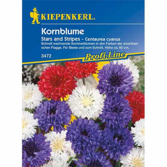 Kornblume Stars And Stripes Bild 7 Kornblume Stars And Stripes interface.image 7
