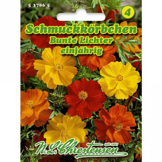 Schmuckkörbchen Bunte Lichter Bild 8 Schmuckkörbchen Bunte Lichter interface.image 8