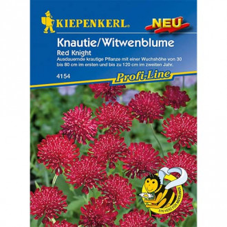 Knautie / Witwenblume Red Knight interface.image 1