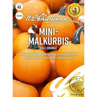 Mini - Malkürbis Ball Orange interface.image 2