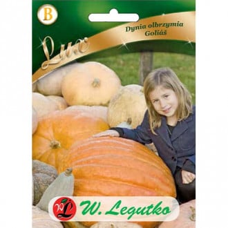 Kürbis Golias interface.image 9