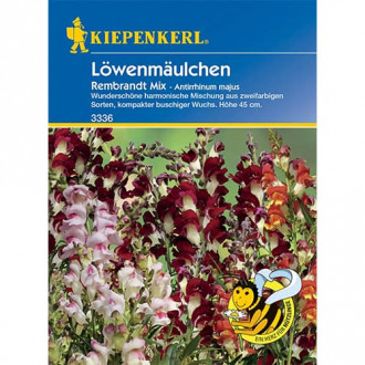 Löwenmäulchen Rembrandt Mix interface.image 6