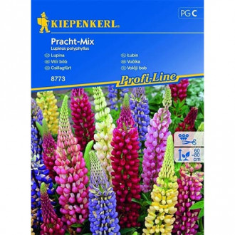 Lupine Prachtmischung interface.image 1