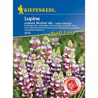 Lupine Avalune Bicolor interface.image 6
