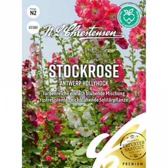 Stockrose Antwerp Hollyhock interface.image 2