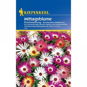 Mittagsblume Prachtmischung interface.image 1