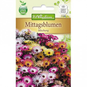 Mittagsblume Mischung interface.image 2