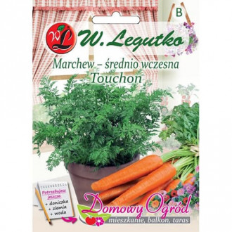 Möhre Touchon interface.image 7