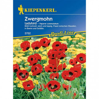 Zwergmohn LadyBird interface.image 6