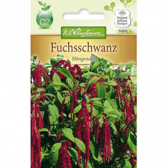 Fuchsschwanz Hängender (Amaranthus) interface.image 1