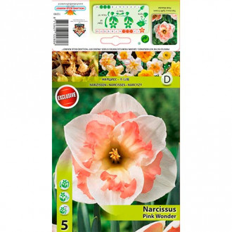 Narzisse Pink Wonder interface.image 4