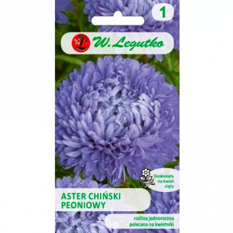 Peonienaster blau Legutko interface.image 5