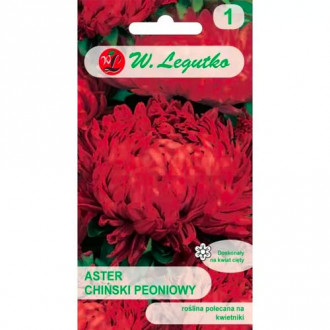 Peonienaster rot Legutko Bild 17 Peonienaster rot Legutko interface.image 17