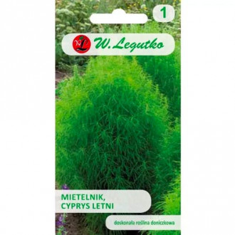 Pestwurz (Sommerzypresse) Legutko interface.image 2