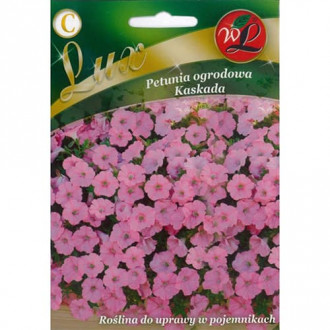 Petunie Kaskada rosa Bild 7 Petunie Kaskada rosa interface.image 7