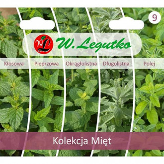 Pfefferminze - Kollektion interface.image 3