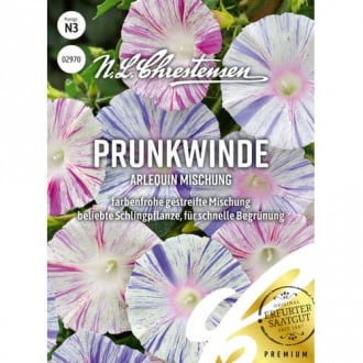 Prunkwinde Arlequin Mischung interface.image 5