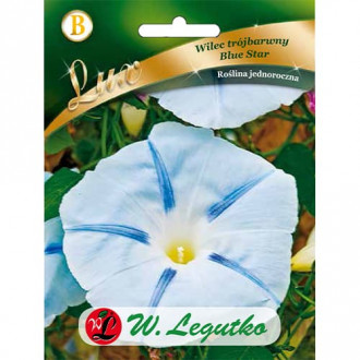 Prunkwinde Blue Star Legutko Bild 14 Prunkwinde Blue Star Legutko interface.image 14