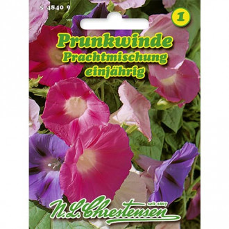 Prunkwinde Prachtmischung Bild 13 Prunkwinde Prachtmischung interface.image 13